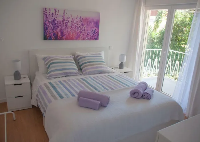 Apartament Pine Tree Віавіа