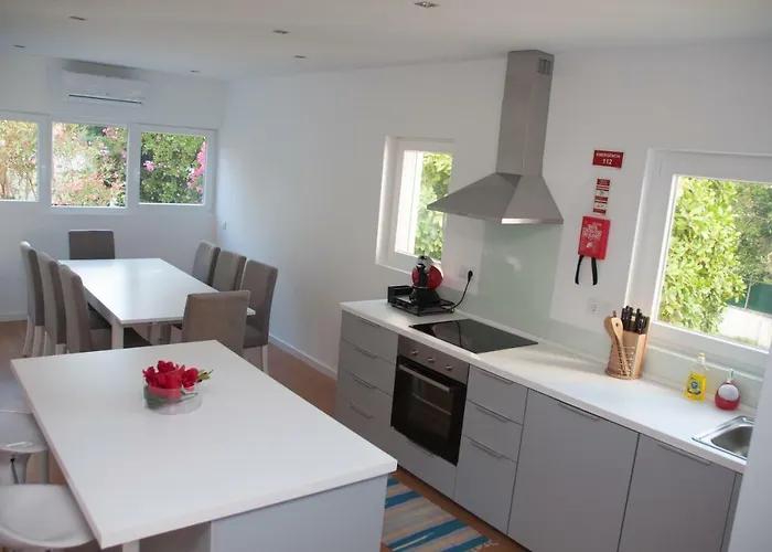 Pine Tree Apartament