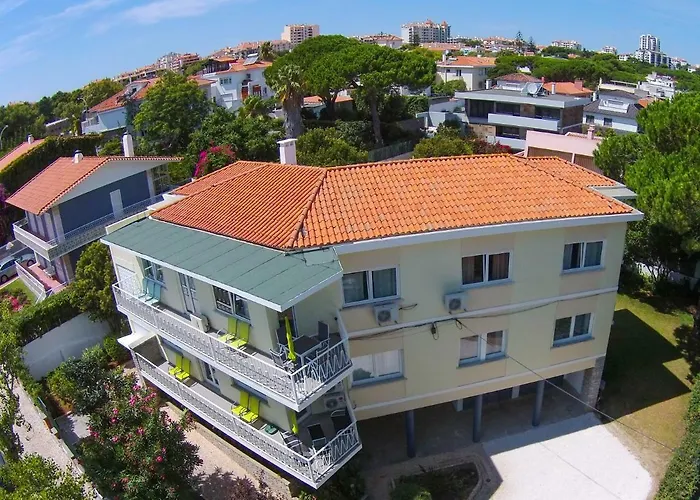 Pine Tree Apartament *