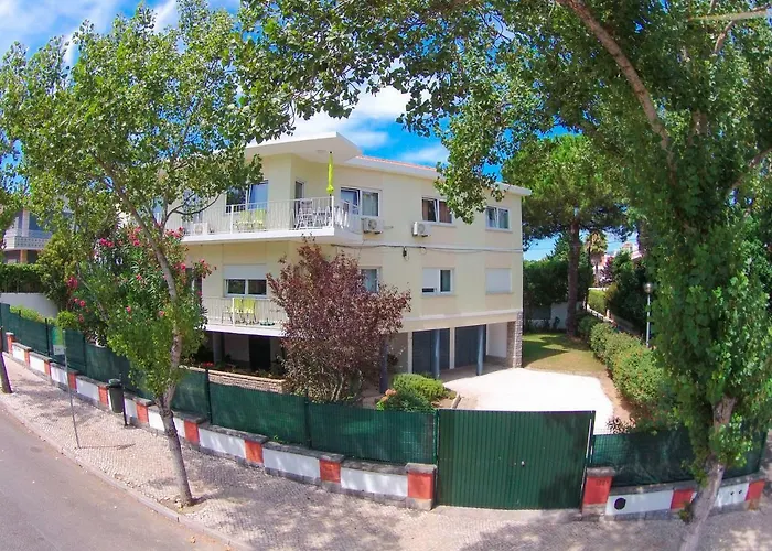 Apartament Pine Tree